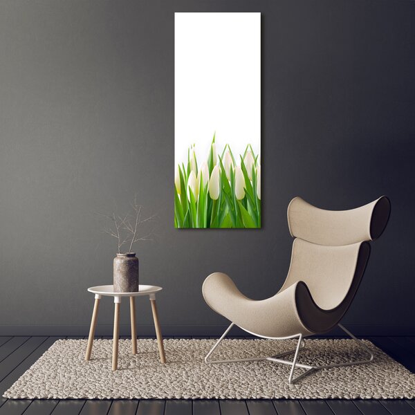 Foto-obraz canvas do obýváku Bílé tulipány ocv-30153186