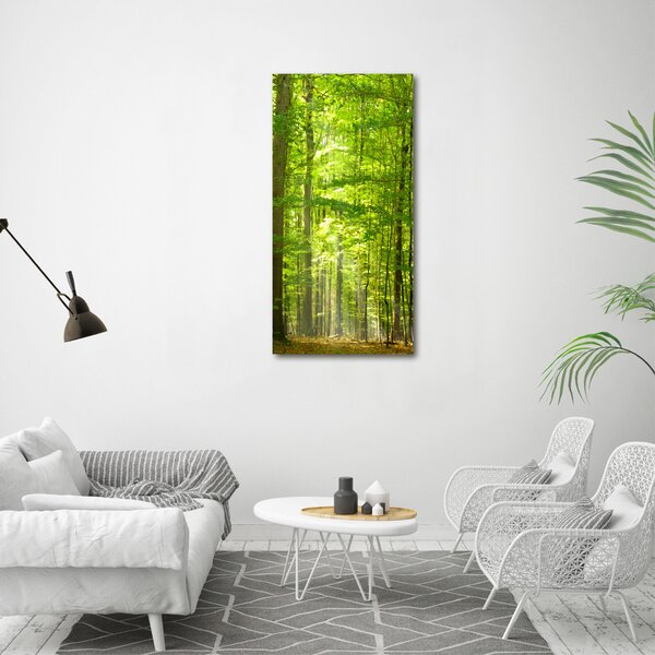 Vertikální Vertikální Foto obraz na plátně do obýváku Bukový les ocv-31250020