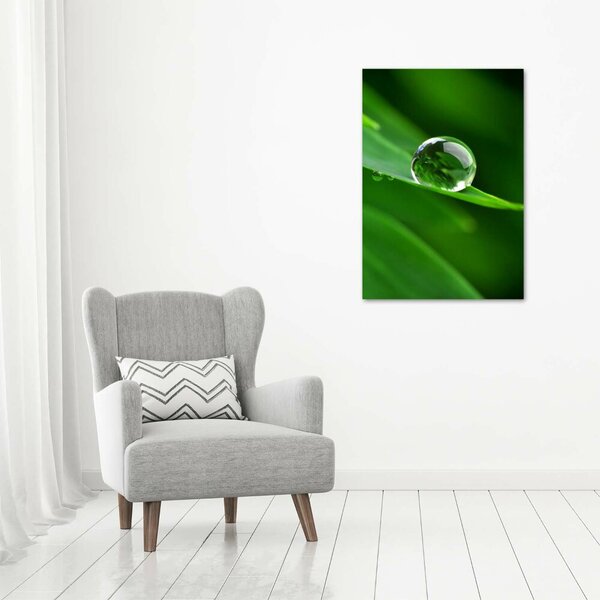 Vertikální Foto obraz canvas Stéblo trávy ocv-32091660