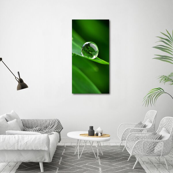 Vertikální Foto obraz canvas Stéblo trávy ocv-32091660