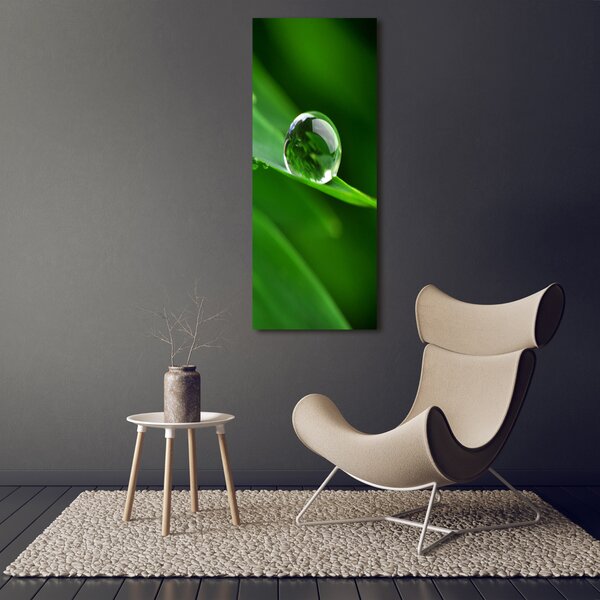 Vertikální Foto obraz canvas Stéblo trávy ocv-32091660