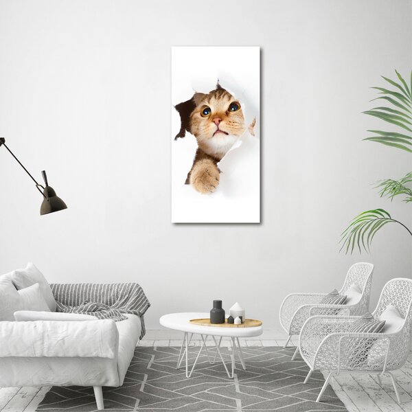 Vertikální Foto obraz canvas Kocour ocv-33902265