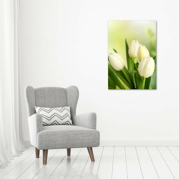 Vertikální Foto obraz na plátně Bílé tulipány ocv-34973360