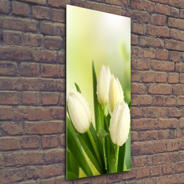 Vertikální Foto obraz fotografie na skle Bílé tulipány osv-34973360