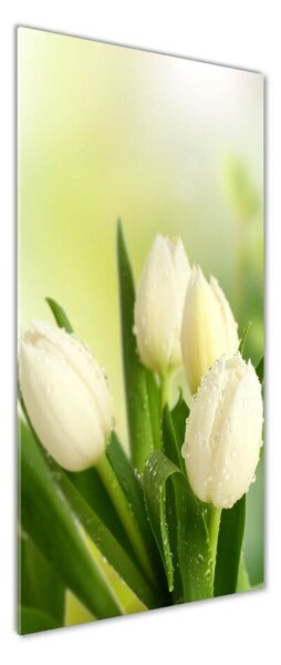Vertikální Foto obraz fotografie na skle Bílé tulipány osv-34973360