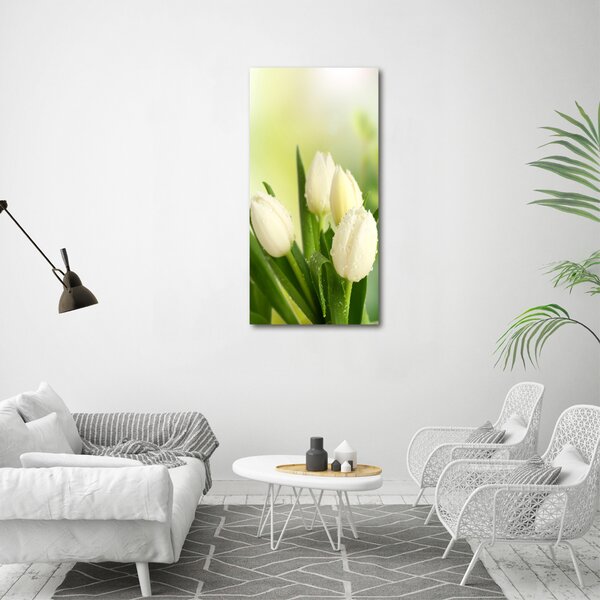 Vertikální Foto obraz na plátně Bílé tulipány ocv-34973360