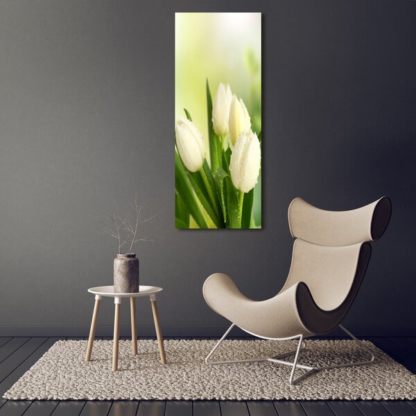 Vertikální Foto obraz na plátně Bílé tulipány ocv-34973360