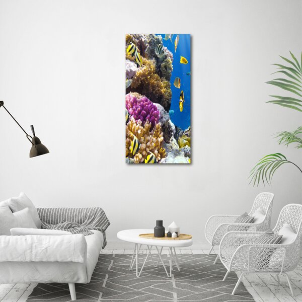 Vertikální Foto obraz canvas Korálový útes ocv-36026012