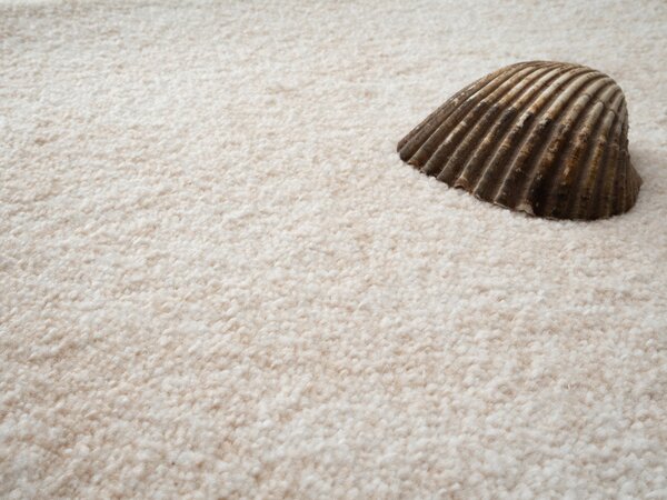 Condor Carpets, Metrážový koberec Serena 6612, na míru, šíře 4m,5m, béžová, filc, ložnice