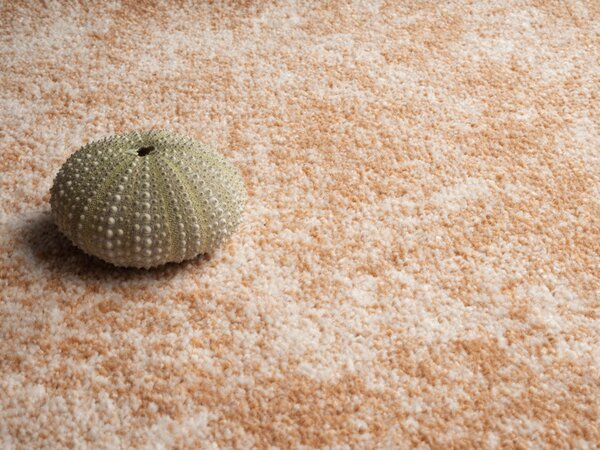 Condor Carpets, Metrážový koberec Serena 6632, na míru, šíře 4m,5m, oranžová, filc, ložnice