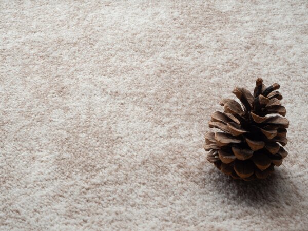 Condor Carpets, Metrážový koberec Serena 6622, na míru, šíře 4m,5m, béžová, filc, dětský pokoj