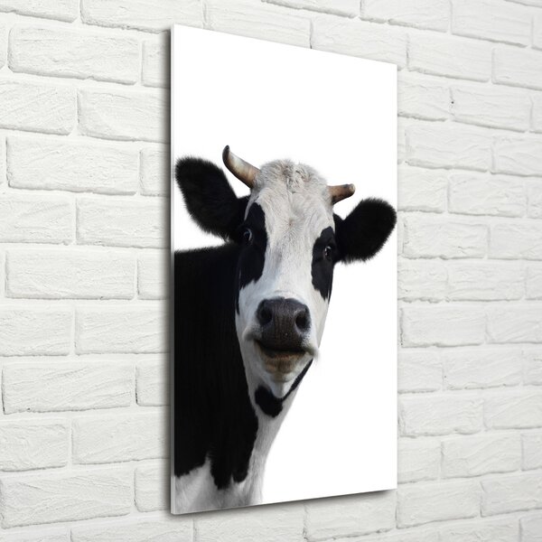 Vertikální Foto obraz sklo tvrzené Flekatá kráva osv-38327134
