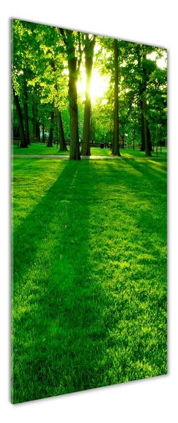 Vertikální Foto obraz fotografie na skle Slunce v parku osv-3863874
