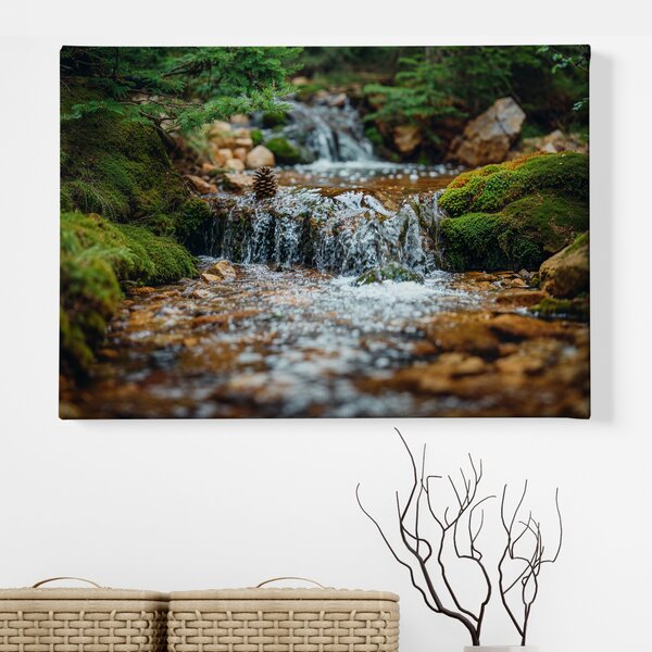 Obraz na plátně - Malý vodopád s šiškou a mechem FeelHappy.cz Velikost obrazu (šířka x výška): 40 x 30 cm