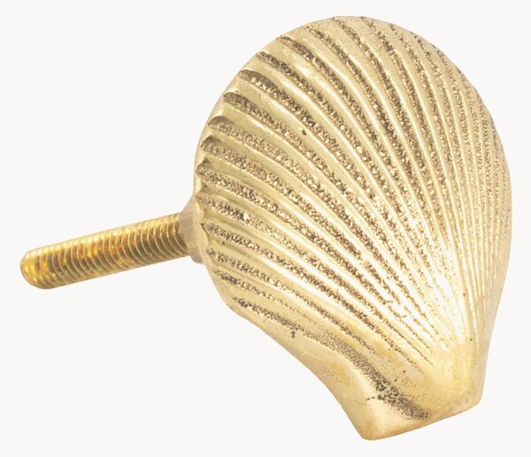 Úchytka Abby Shell