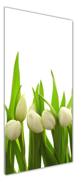 Vertikální Foto obraz fotografie na skle Bílé tulipány osv-40774643