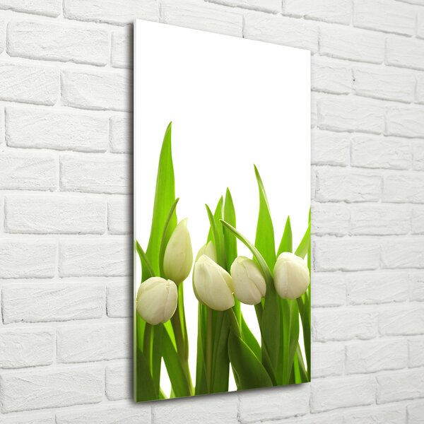Vertikální Foto obraz fotografie na skle Bílé tulipány osv-40774643