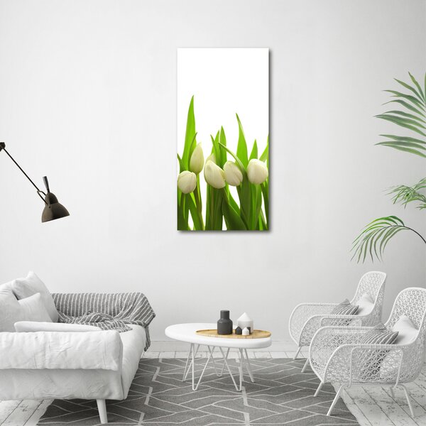 Foto-obraz canvas do obýváku Bílé tulipány ocv-40774643