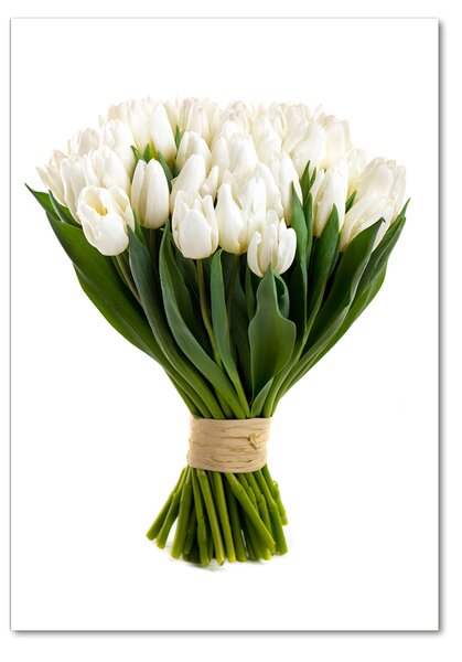 Vertikální Foto obraz fotografie na skle Bílé tulipány osv-40664213