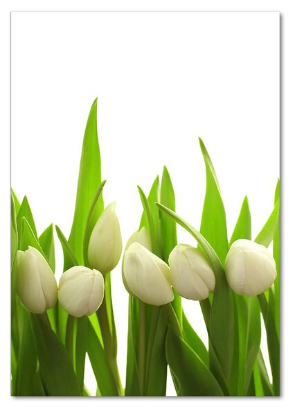 Vertikální Foto obraz fotografie na skle Bílé tulipány osv-40774643