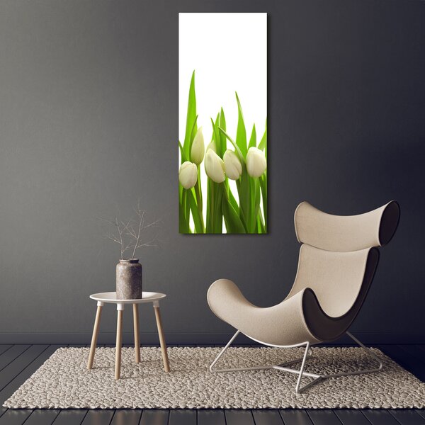 Foto-obraz canvas do obýváku Bílé tulipány ocv-40774643