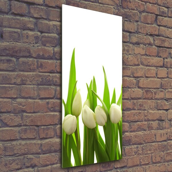 Vertikální Foto obraz fotografie na skle Bílé tulipány osv-40774643