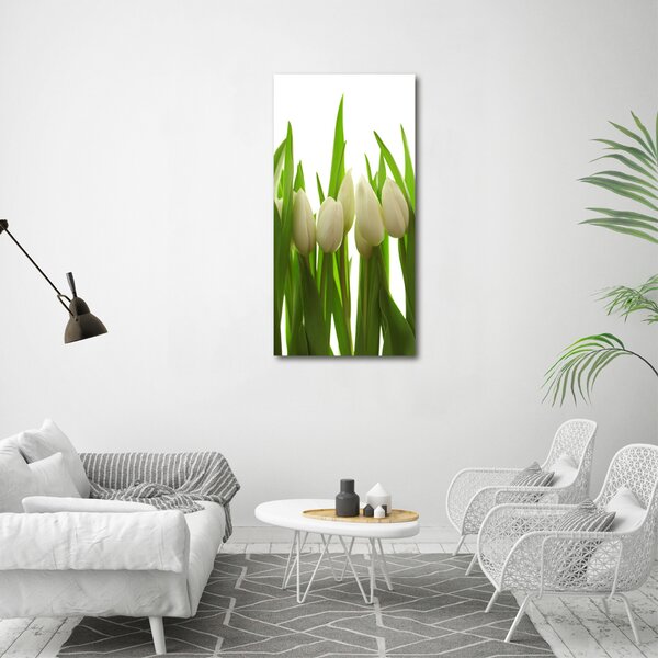 Vertikální Foto obraz na plátně Bílé tulipány ocv-40774671