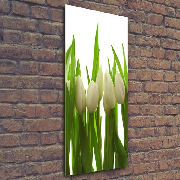 Vertikální Foto obraz fotografie na skle Bílé tulipány osv-40774671