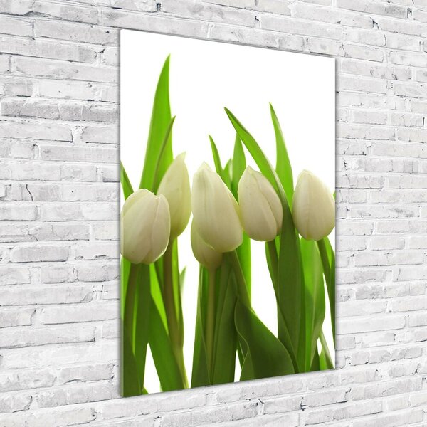 Vertikální Foto obraz fotografie na skle Bílé tulipány osv-40774671