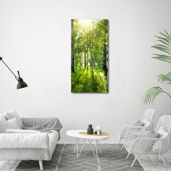 Vertikální Foto obraz canvas Břízový les ocv-42305508