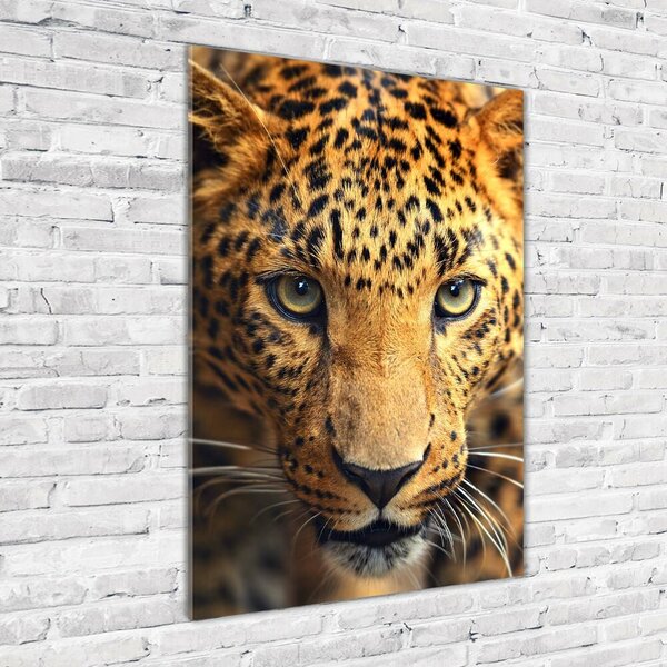 Vertikální Foto-obraz fotografie na skle Leopard osv-42852431