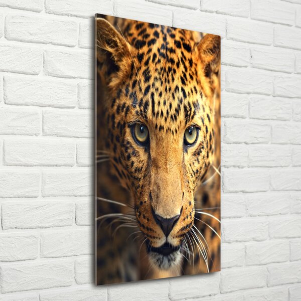 Vertikální Foto-obraz fotografie na skle Leopard osv-42852431