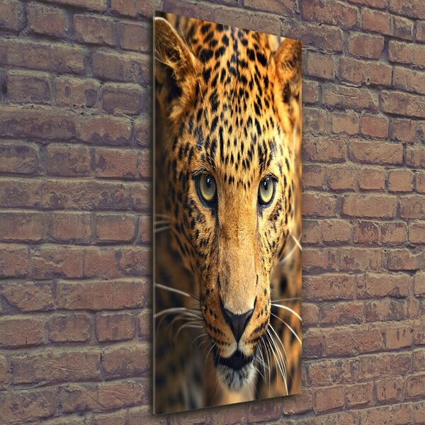 Vertikální Foto-obraz fotografie na skle Leopard osv-42852431