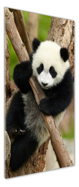 Vertikální Foto obraz skleněný svislý Panda na stromě osv-43324424