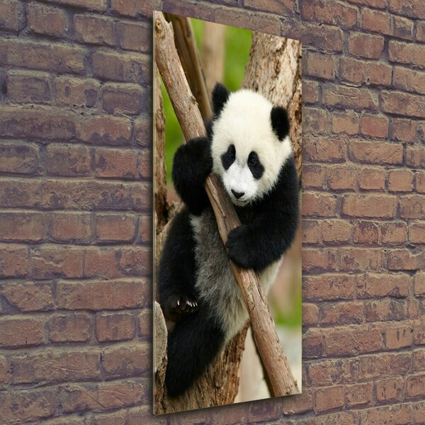 Vertikální Foto obraz skleněný svislý Panda na stromě osv-43324424