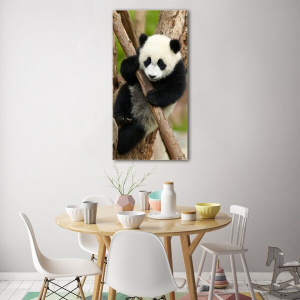 Vertikální Foto obraz skleněný svislý Panda na stromě osv-43324424
