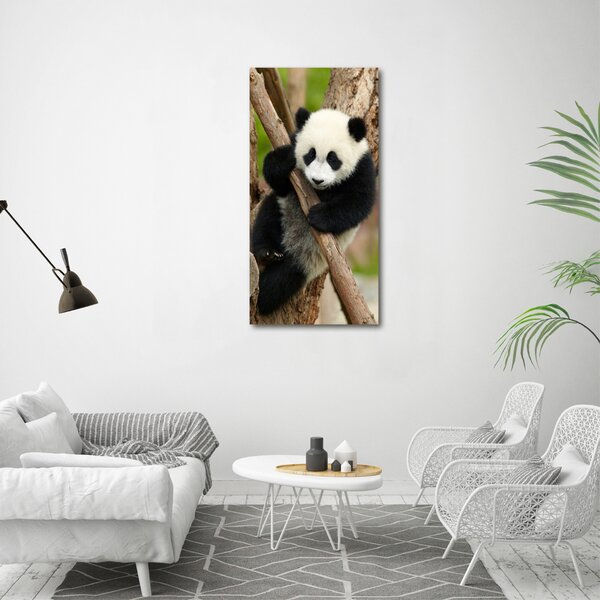 Vertikální Foto obraz skleněný svislý Panda na stromě osv-43324424