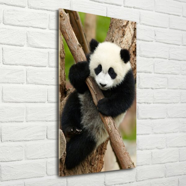 Vertikální Foto obraz skleněný svislý Panda na stromě osv-43324424