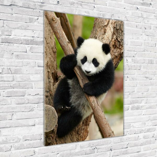 Vertikální Foto obraz skleněný svislý Panda na stromě osv-43324424
