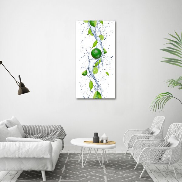 Vertikální Moderní obraz canvas na rámu Limetka ocv-43956192