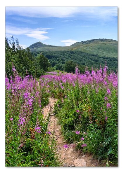 Vertikální Foto obraz sklo tvrzené Bieszczady osv-44294505