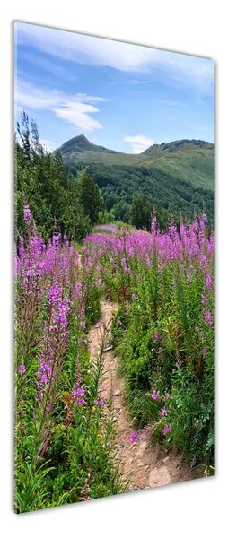 Vertikální Foto obraz sklo tvrzené Bieszczady osv-44294505