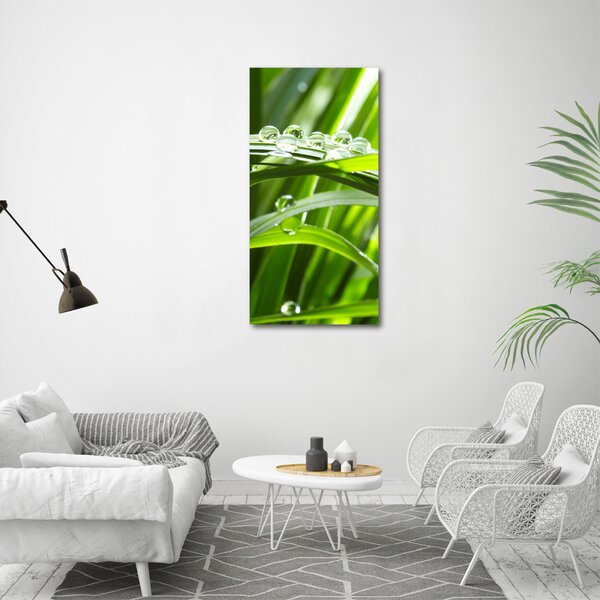 Vertikální Foto obraz canvas Stéblo trávy ocv-44303154