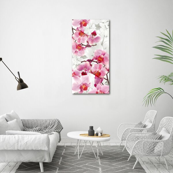 Vertikální Foto obraz na plátně Růžová orchidej ocv-44684614