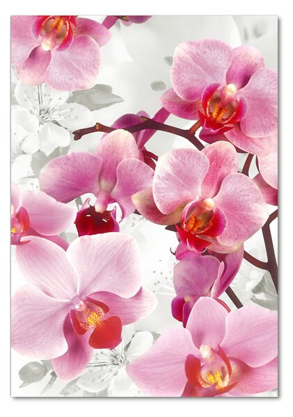 Vertikální Fotoobraz na skle Růžová orchidej osv-44684614