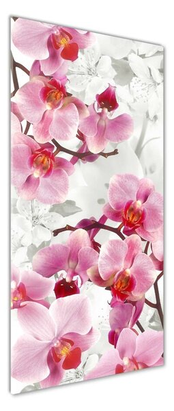 Vertikální Fotoobraz na skle Růžová orchidej osv-44684614