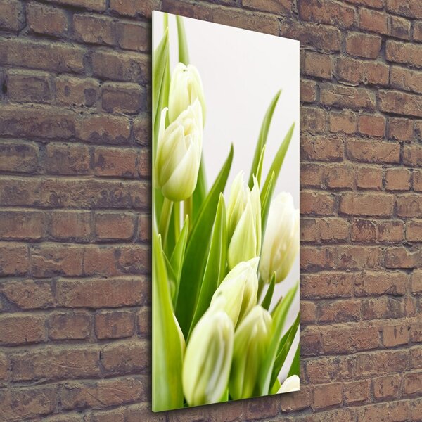 Vertikální Foto obraz fotografie na skle Bílé tulipány osv-48191283