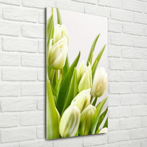 Vertikální Foto obraz fotografie na skle Bílé tulipány osv-48191283