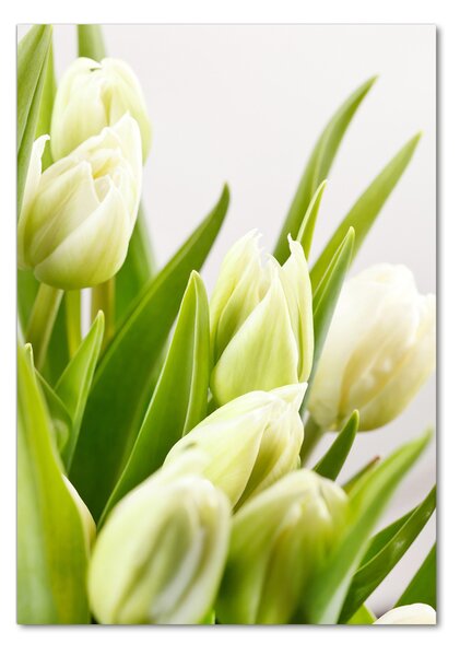 Vertikální Foto obraz fotografie na skle Bílé tulipány osv-48191283
