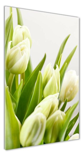 Vertikální Foto obraz fotografie na skle Bílé tulipány osv-48191283